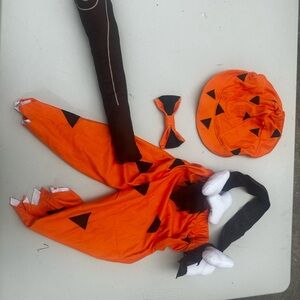 Orange and Black Kids Dinosaur Costume